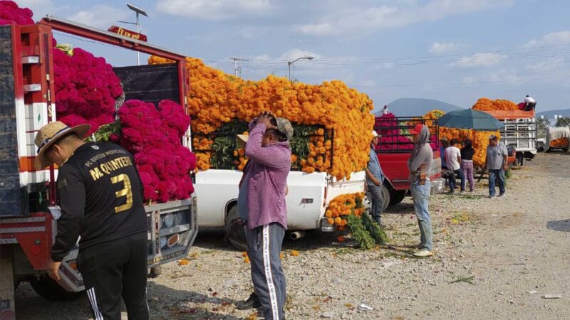 Más 124 mdp en derrama económica por la venta de flor de temporada de día de muertos en plazuela Santa Rita en Atlixco