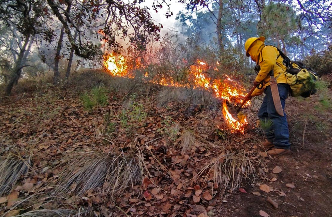 En Puebla, en lo que va del año se han registrado y combatido 237 incendios forestales