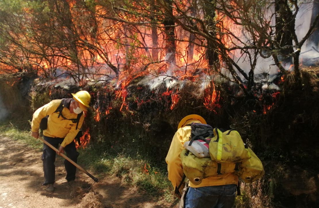 Extinguidos 282 incendios forestales en más de cuatro meses: Medio Ambiente