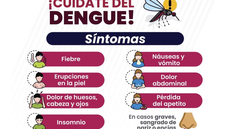 Concentran cinco municipios 59.4% de casos de dengue en Puebla